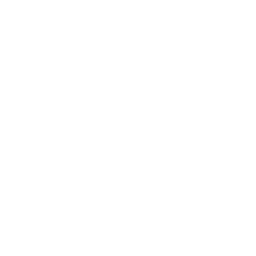193657-256