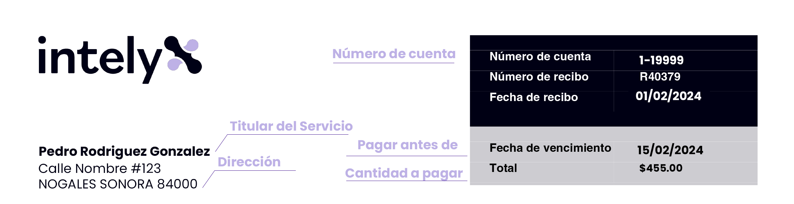 Factura_explicada